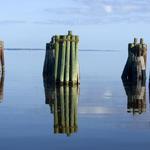 Pamlico Sound in North Carolina, on Route 306.  Heat-Moon observed, “because of the Pamlico Sound . . . North Carolina has more water surface than all but two other contiguous states” (BH 65).